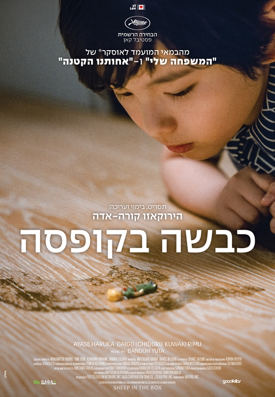 תמונת מופע: כבשה בקופסה